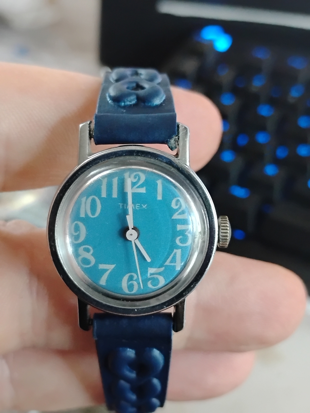 Timex Blue Dial Stainless Case Wristwatch